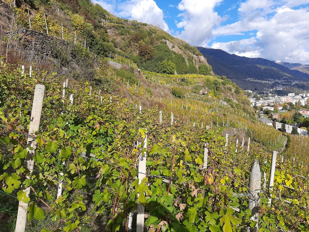 Lake Como tours with colorful lakeside village and mountain views in Northern Italy